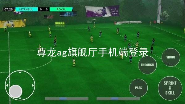 尊龙ag旗舰厅手机端登录