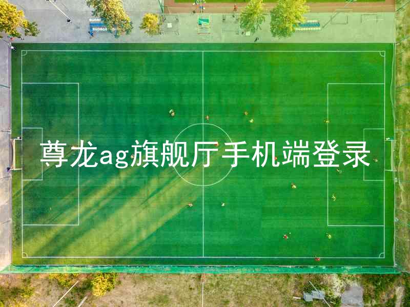 尊龙ag旗舰厅手机端登录